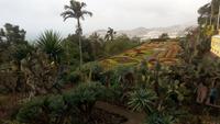 Funchal- Botanischer Garten