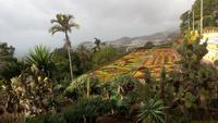 Funchal- Botanischer Garten