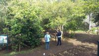 Funchal- Botanischer Garten