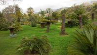 Funchal- Botanischer Garten