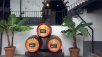 Funchal, Besuch des Weinguts Blandys