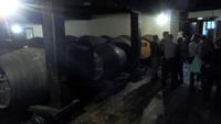 Funchal, Besuch des Weinguts Blandys