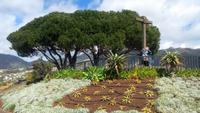  Funchal, Aussichtspunkt Pico dos Barcelos