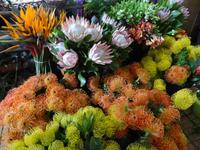 Funchal - Markthalle