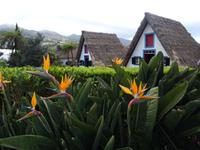 Santana - und seine strohbedeckten Häuschen