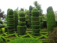 Funchal - Botanischer Garten