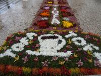 Funchal - Blumenteppiche anlässlich des Blumenfestes