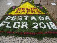 Funchal - Blumenteppiche anlässlich des Blumenfestes
