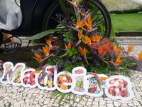 Funchal - Blumenschmuck anlässlich des Blumenfestes