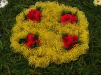 Funchal - Blumenteppiche anlässlich des Blumenfestes