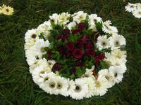 Funchal - Blumenteppiche anlässlich des Blumenfestes