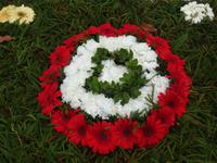 Funchal - Blumenteppiche anlässlich des Blumenfestes