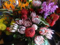 Funchal - Markthalle