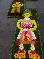 Cabo Girao - Blumenteppich