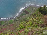 Cabo Girao - Blick 585 Meter hinab auf das Meer