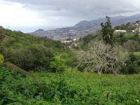 Quinta do Palheiro (Blandys Garten) in Funchal, Blick auf Funchal