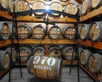 Hier reift der Madeirawein I