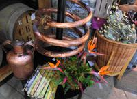 In der Zuckerrohrdestillerie I