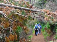 Auf der Levada-Wanderung