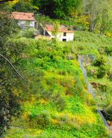 Bauernhof mit Terrassenwirtschaft