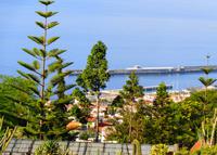 Blick auf den Hafen von Funchal