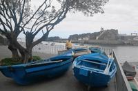 Boote auf dem Trockenen in Câmara de Lobos