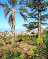 Im Botanischen Garten II