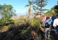 Im Botanischen Garten