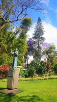 Im Stadtpark von Funchal