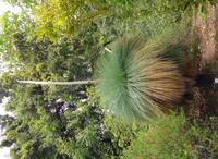 Wie ein Vogel Strauß