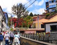 Auf dem Weg zum Kräutergarten I