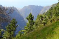 Auf dem Weg zum Nonnental