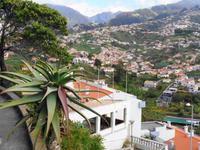 Aussichtspunkt über Funchal V
