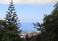 Blick auf Funchal von Monte II