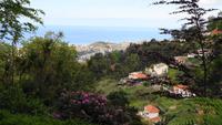 Blick auf Funchal von Monte