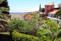 Blick von Marias Kräutergarten auf Funchal 