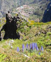 Curral das Freiras von oben