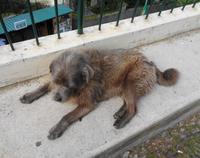 Ein müder Zeitgenosse