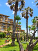 Hotel Four Views Oasis