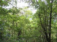 10-Blick bei Levada-Spaziergang