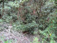 11-Weg in Richtung Balcoes