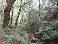 12-Spaziergang Ribeiro Frio