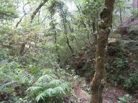 13-Ribeiro Frio Spaziergang