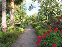 43-Garten des Hotels Quinta Splendida