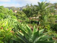 47-Botanischer Garten Quinta Splendida