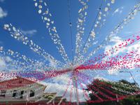 52-Weinfest Estreito de Camara Lobos