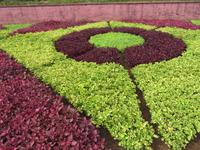 90-Pflanzenbeet Botanischer Garten