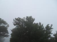 110-Naturschutzgebiet Paul da Serra