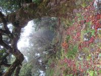 112-Natur in der Hochebene