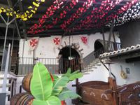 147-Blandy´s Weingut